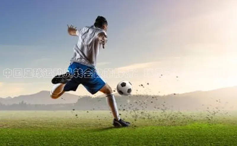 极悦平台官网入口路畅科技中国足球运动员转会政策解析：球员能否自由换队？