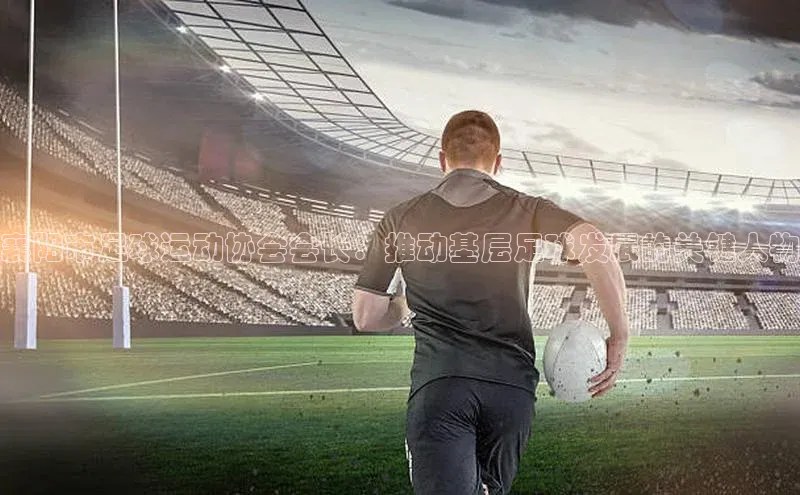 极悦登录入口百度社团赞助平台襄阳市足球运动协会会长：推动基层足球发展的关键人物