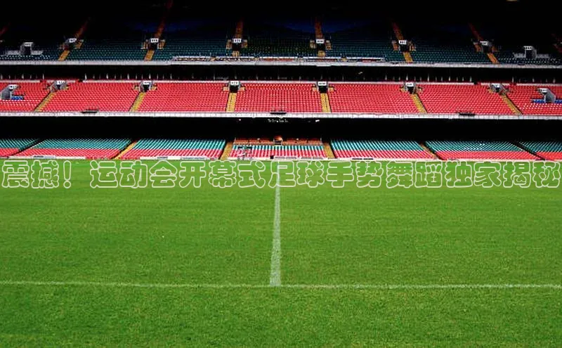 极悦APP官网百度游戏震撼！运动会开幕式足球手势舞蹈独家揭秘