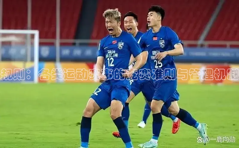 极悦官方网站首页赛富乐斯规则：各类运动赛事的竞赛准则与管理机制