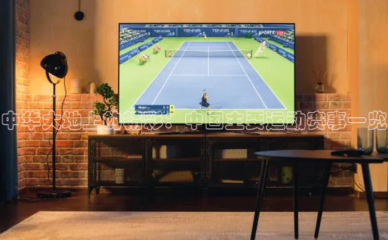 中华大地上的精彩：中国主要运动赛事一览