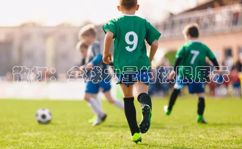 散打：全球力量的极限展示