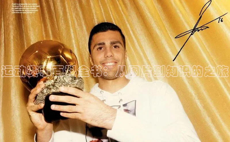 运动赛事百科全书：从图片到知识的之旅