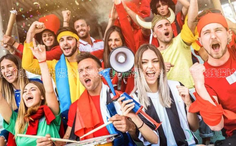 运动赛事中的紧急情况处理与管理系统：策略与实践探讨