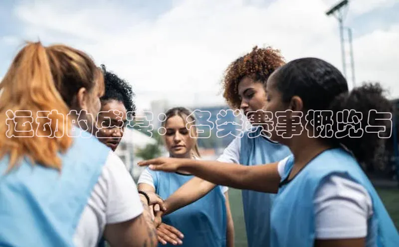 运动的盛宴：各类赛事概览与