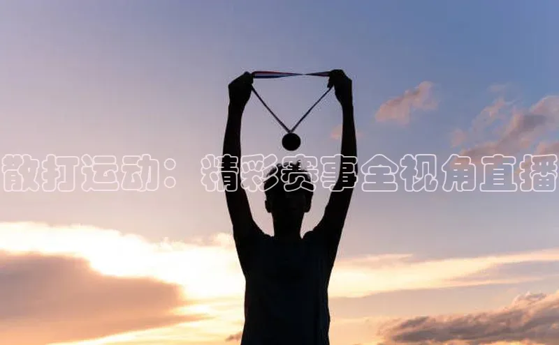 散打运动：精彩赛事全视角直播