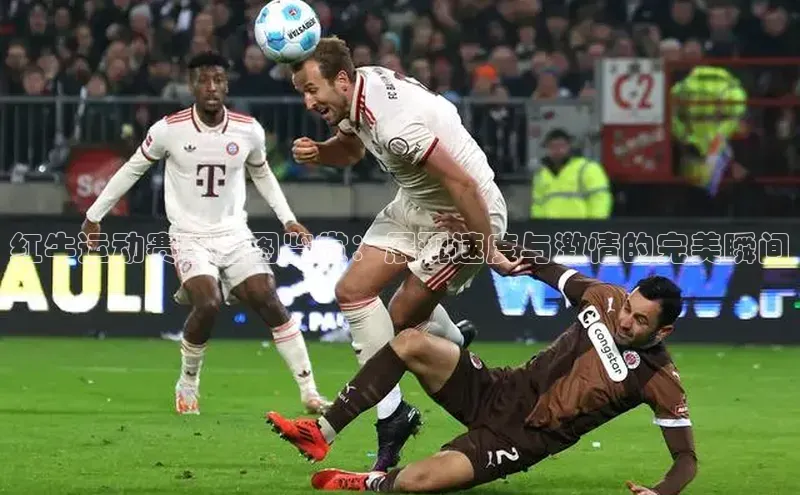 红牛运动赛事全图鉴赏：展现速度与激情的完美瞬间