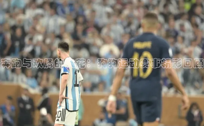 奔跑与欢腾的火花：狗狗运动赛事精彩回顾