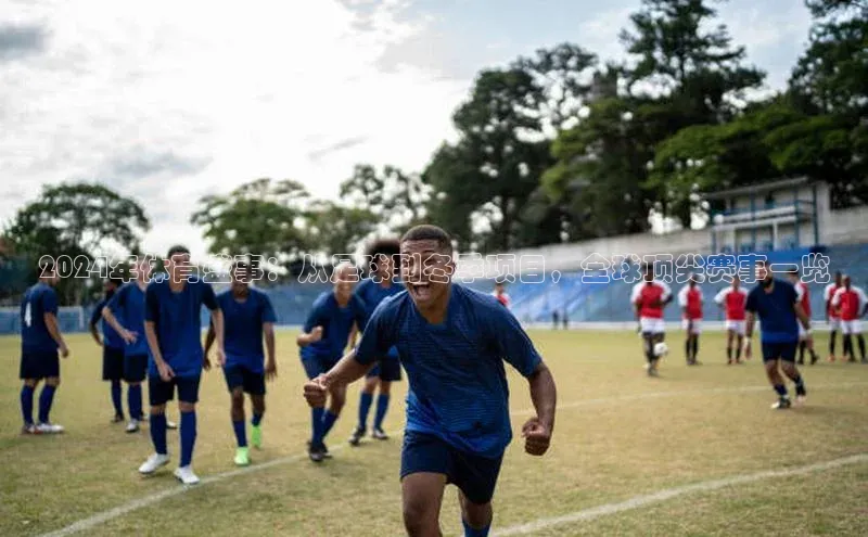 2024年体育盛事：从足球到冬季项目，全球顶尖赛事一览