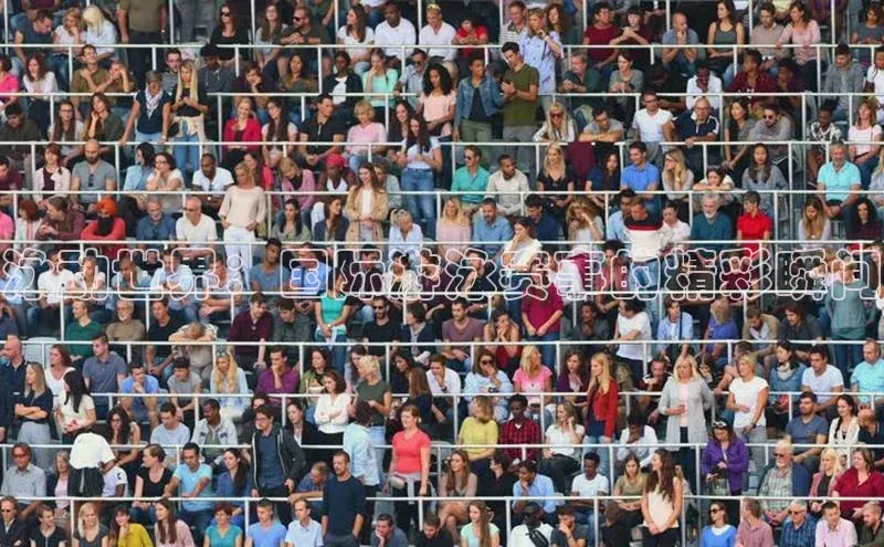 泳动世界：国际游泳赛事的精彩瞬间