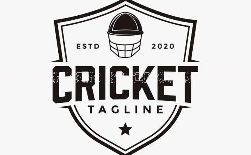 透视全球体育经济：探讨运动赛事的价值与影响