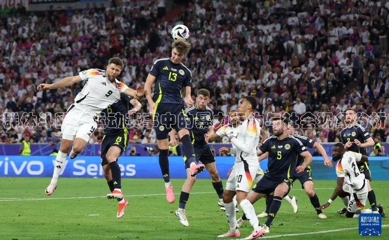 群体斗殴：运动赛事中的暴力行为与社会现象分析