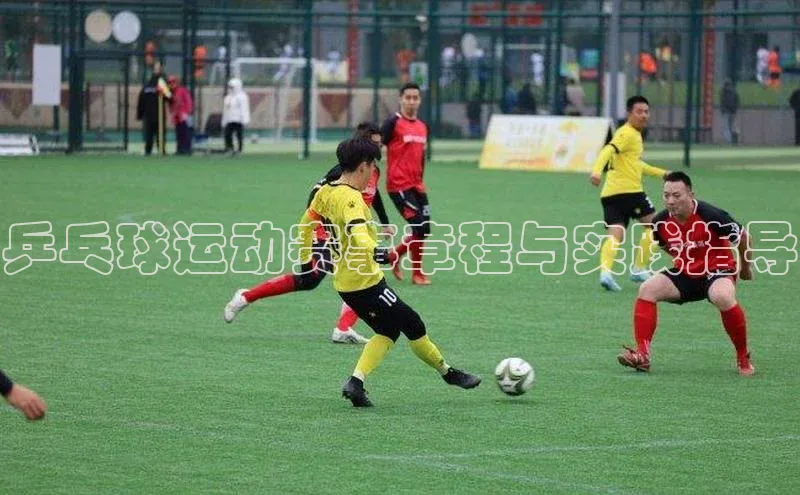 乒乓球运动赛事章程与实践指导