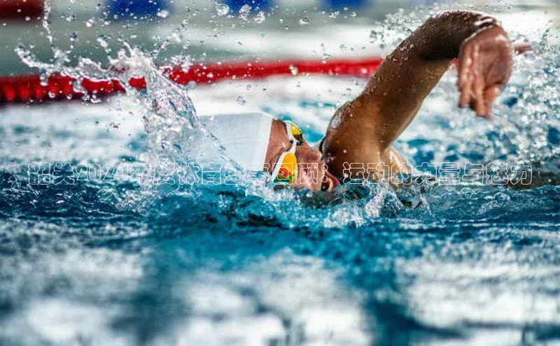 韶关2024年度体育盛事回顾：运动的力量与魅力