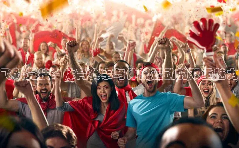 飞跃竞技：体育赛事与休闲运动的双重魅力