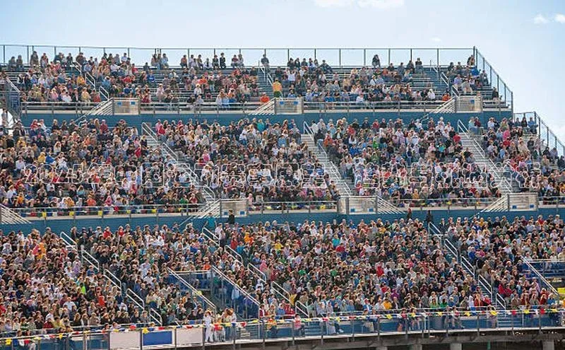 2025年中国运动赛事展望：趋势与机遇分析