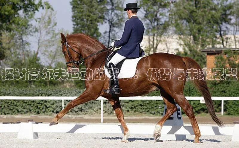 探讨高尔夫运动的赛事：优势与未来展望